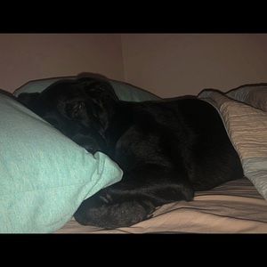 Meet your Posher, Alyssa